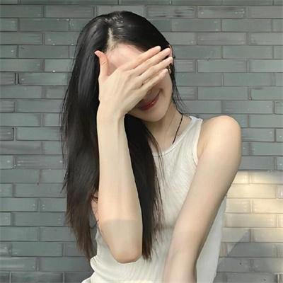 豹